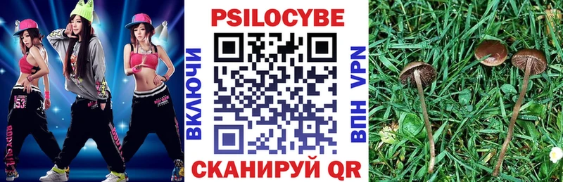 МЕГА   Волхов  Галлюциногенные грибы MAGIC MUSHROOMS 