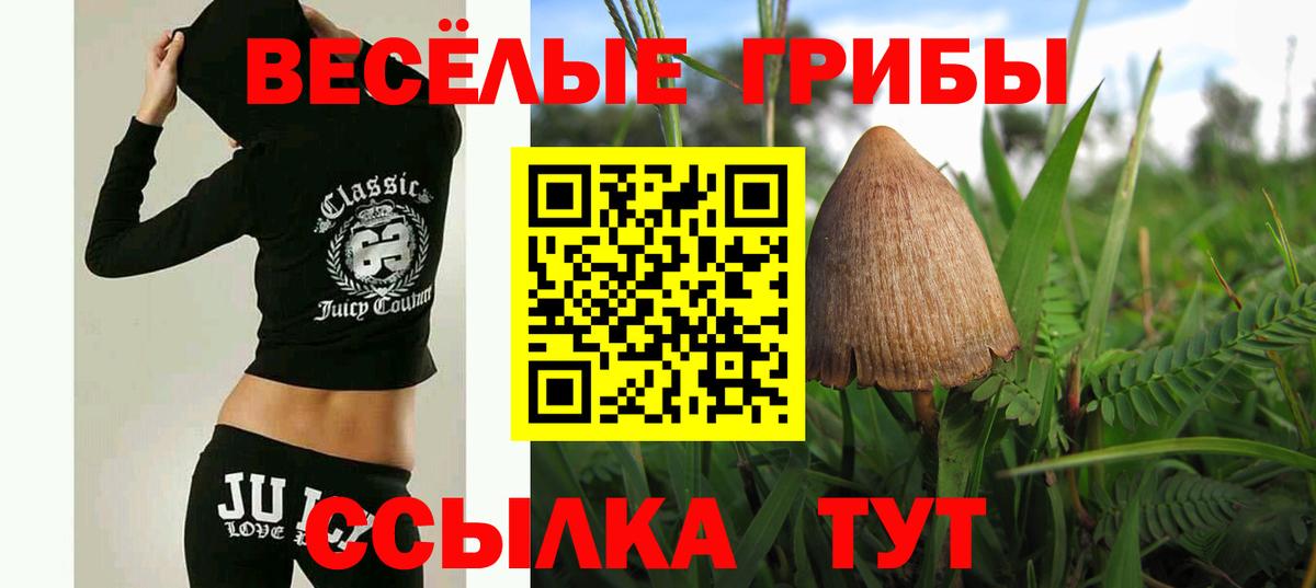 Псилоцибиновые грибы мицелий  Вход с VPN  Волхов 