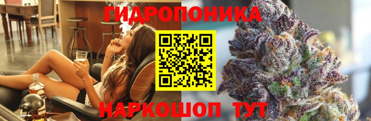 Волхов  Конопля планчик  Конопля сатива  Канабис SATIVA & INDICA  Каннабис план  Вход с VPN 